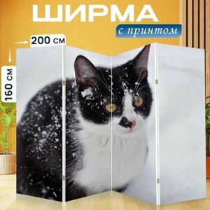 Ширма "Кот, котенок, снег" раскладная перегородка для зонирования с принтом на холсте