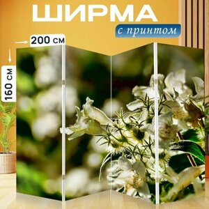 Ширма "Кустарник, расцветает, подсветка" раскладная перегородка для зонирования с принтом на холсте