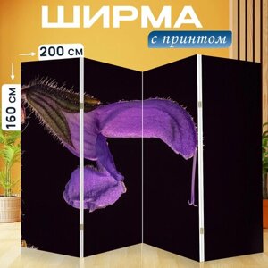 Ширма перегородка с принтом "Белый шалфей, мудрец, шалфей" на холсте - 200x160 см. для зонирования, раскладная