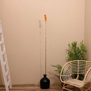 Сухоцвет на бамбуковом стебле 150 см оранжевый