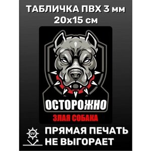 Табличка информационная прикольная Осторожно злая собака 20х15 см