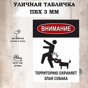 Табличка уличная "Осторожно злая собака" для интерьера, информационная.