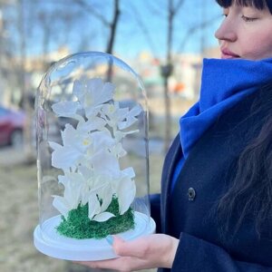 Трио Мечта из белоснежных орхидей в стекле в подарочной коробке /32 см
