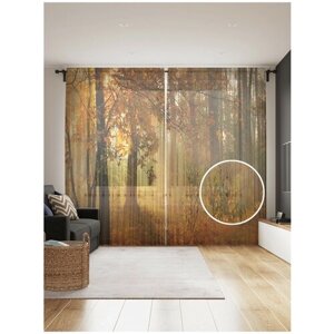 Тюль для кухни и спальни JoyArty "Осенний лес", 2 полотна со шторной лентой шириной по 145 см, высота 265 см.