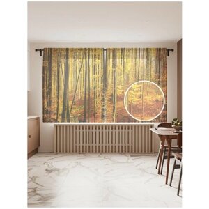 Тюль для кухни и спальни JoyArty "Желтеющие леса", 2 полотна со шторной лентой, 145x180 см.