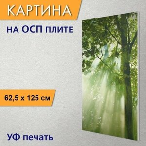 Вертикальная картина на ОСП "Лес, деревья, природа" 62x125 см. для интерьера на стену