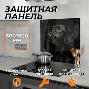 Защитный экран для плиты от брызг стекло "Черная собака 3" 600х600 мм