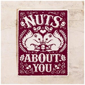 Жестяная табличка Nuts about you, металл, 30Х40 см