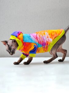 Элегантный Кот худи Фестиваль красок для кошек (L, Унисекс)