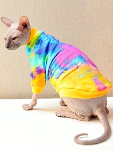 Элегантный Кот свитшот Фестиваль красок для кошек (S, Унисекс)
