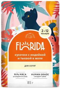 Florida паучи для котят (кусочки в желе) (Индейка и тыква, 85 г.)