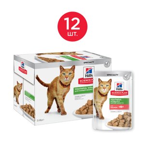 Hill's Science Plan Senior Vitality пауч аппетитные кусочки в соусе для кошек старше 7 лет (Лосось, 85 г. упаковка 12 шт)