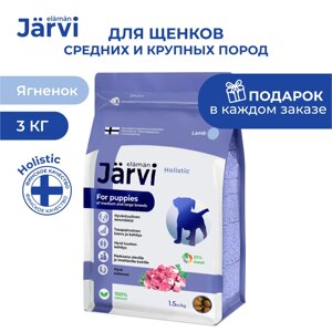 Jarvi сухой полнорационный корм для щенков средних и крупных пород (Ягненок, 3 кг.)