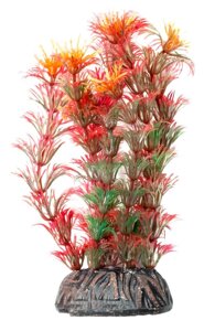 Laguna растение Амбулия (10 см., Красный)
