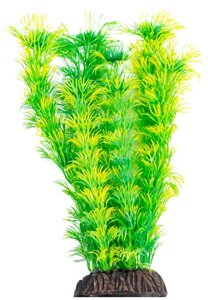 Laguna растение Амбулия (20 см., Желто-зеленый)