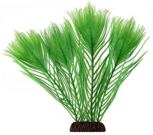 Laguna растение Эгерия (25 см., Зеленый)