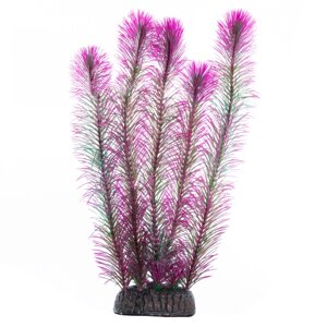 Laguna растение Перистолистник (30 см., Фиолетовый)