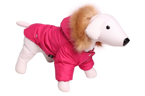 Lion Зимняя куртка для собак Winter парка LP062 (M, Унисекс)