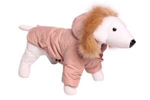 Lion Зимняя куртка для собак Winter парка LP067 (XS, Унисекс)