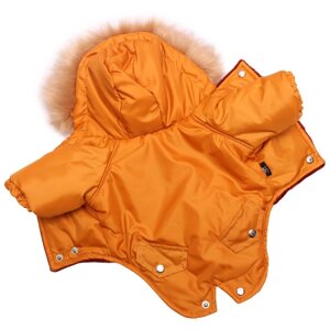 Lion Зимняя куртка для собак Winter парка LP068 (XS, Унисекс)