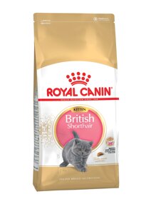 Royal Canin British Shorthair Kitten для котят британской короткошерстной породы (Курица, 10 кг.)