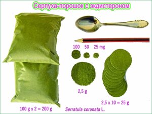 Серпуха-порошок с экдистероном 200 грамм в Архангельской области от компании Энергетики с экдистероном для прилива сил и энергии