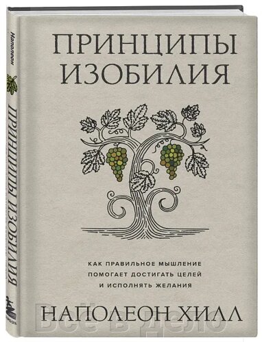 Принципы изобилия. Как правильное мышление помогает достигать целей и исполнять желания