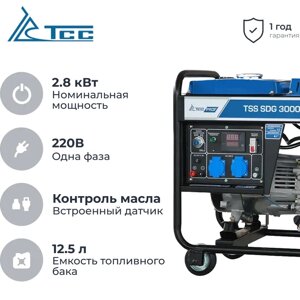 ТСС SDG 3000EH дизельный генератор 100047