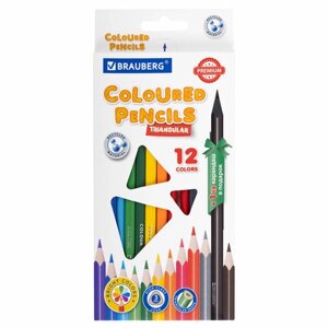 Карандаши цветные пластиковые, BRAUBERG PREMIUM 12 цветов + 1 чернографитный карандаш, трехгранный корпус, грифель 3