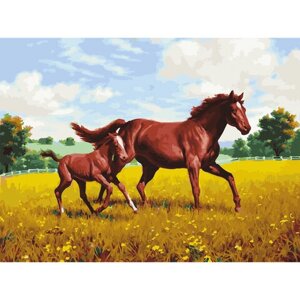 Картина по номерам 40х50 см, ОСТРОВ СОКРОВИЩ Лошади на лугу, на подрамнике, акриловые краски, 3 кисти, 662464