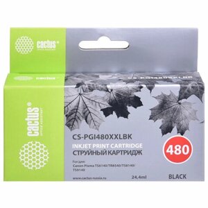 Картридж струйный cactus (CS-PGI480XXLBK) для canon pixma TR7540/TR8540/TS6140/TS8140, черный