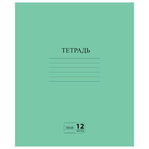 Тетрадь зелёная обложка 12 л., линия с полями, офсет №2 эконом, пифагор, 104985