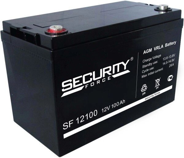 Аккумуляторная батарея SECURITY FORCE SF 12100 от компании MetSnab - фото 1