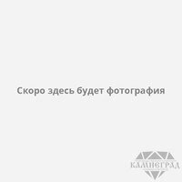 Алмазный диск по граниту бесшумный, Ø=600 мм (с сегментами 404,520 мм, вн. отв. 50/60) от компании MetSnab - фото 1