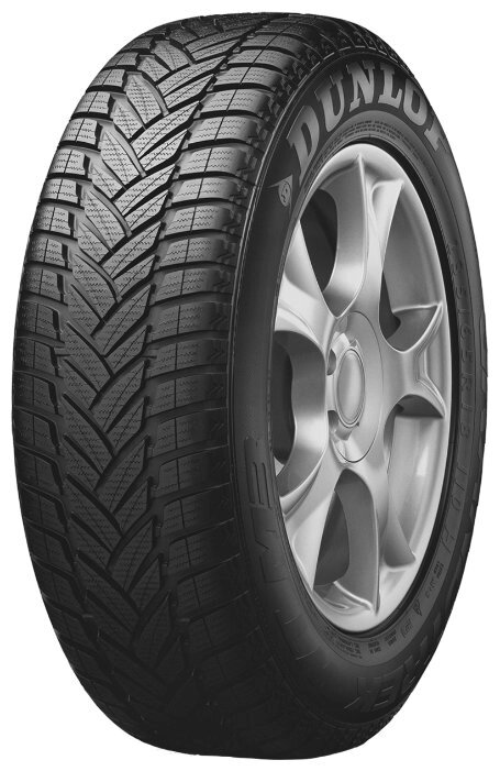 Автомобильная шина Dunlop Grandtrek WT M3 255/50 R19 107V зимняя от компании MetSnab - фото 1