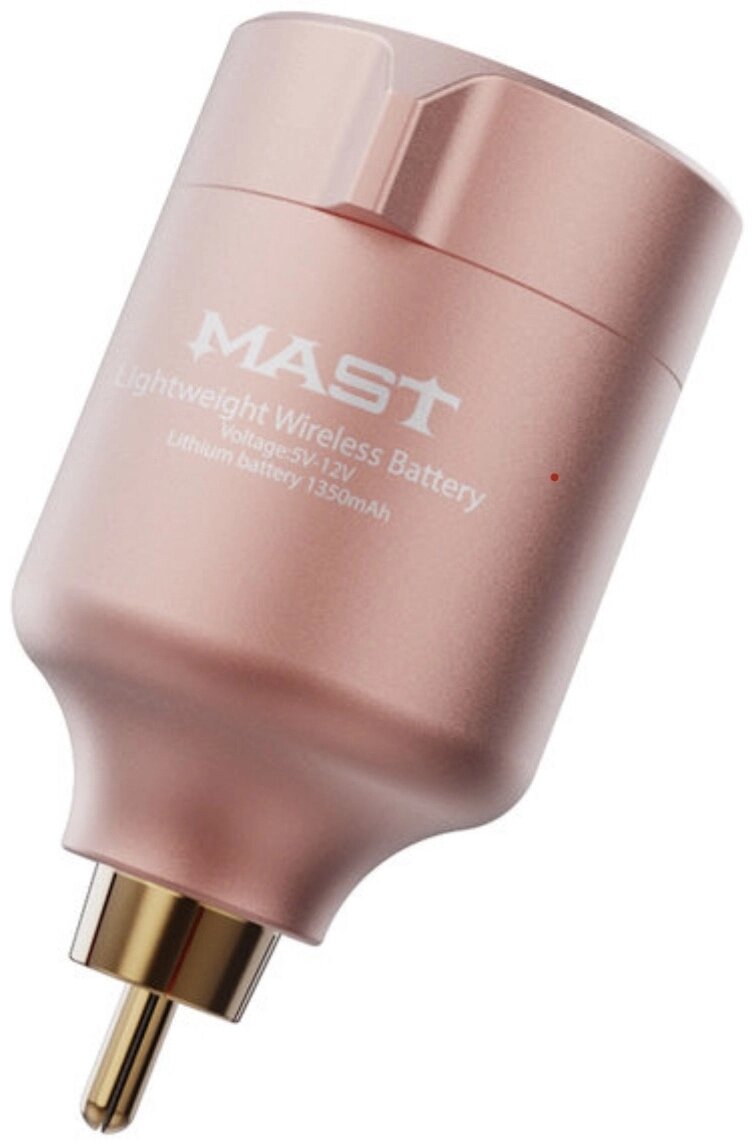 Блок питания для тату машинки Dragon Hawk Mast P-015 Rose Gold 12 В от компании MetSnab - фото 1