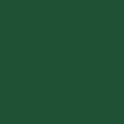 Краска Sherwin-Williams SW 6454 Shamrock Super Paint Flat 19 л (на 152-190 кв. м в 1 слой, воднодисперсионная, от компании MetSnab - фото 1