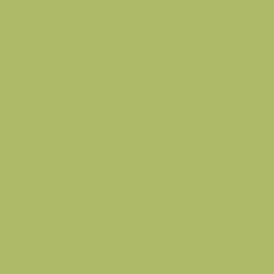 Краска Sherwin-Williams SW 6717 Lime Rickey Super Paint Flat 19 л (на 152-190 кв. м в 1 слой, воднодисперсионная, от компании MetSnab - фото 1