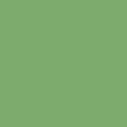 Краска Sherwin-Williams SW 6732 Organic Green A-100 Flat 19 л (на 152-190 кв. м в 1 слой, акриловая, антибактериальная, от компании MetSnab - фото 1