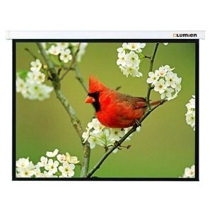 Настенный проекционный экран Lumien Master Picture 206x274 см