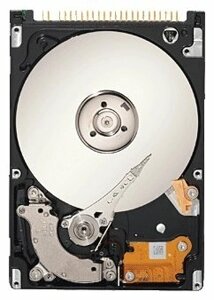 Жесткий диск Seagate 80 GB ST980818AM