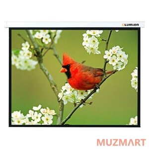 Проекционный экран 128х220 Lumien Master Picture (LMP-100115) Matte White Fiberglass