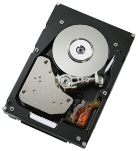 Жесткий диск IBM 450 GB 42D0562