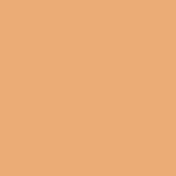 Краска Sherwin-Williams SW 6640 Tangerine Super Paint Flat 19 л (на 152-190 кв. м в 1 слой, воднодисперсионная,