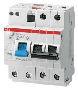 ABB Дифф. автомат. выключатель 2-полюсный 6 А, тип AC (перемен.), 6 кА DS202 AC-B6/0,03. ABB. 2CSR252001R1065