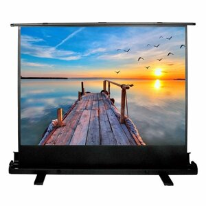 Экран Cactus 113x200см FloorExpert CS-PSFLE-200X113 16:9 напольный рулонный