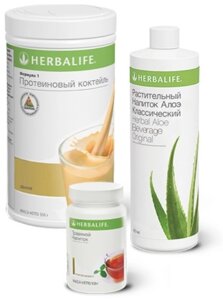 Протеин Herbalife Nutrition Коктейль Дыня 473 мл