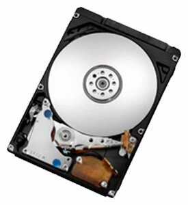 Жесткий диск HGST 320 GB HTE723232L9A300