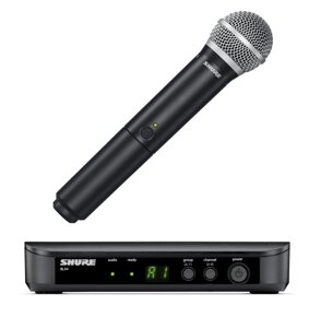 Shure BLX24E/PG58 M17