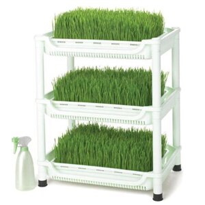 Проращиватель Tribest Wheatgrass Grower Set SM-350